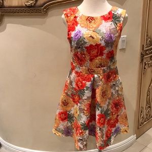 Beautiful dress brand new